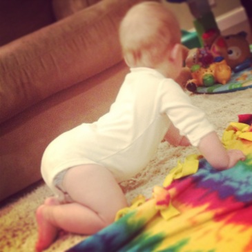 so close to crawling! just doesn't quite know what to once he's up. 